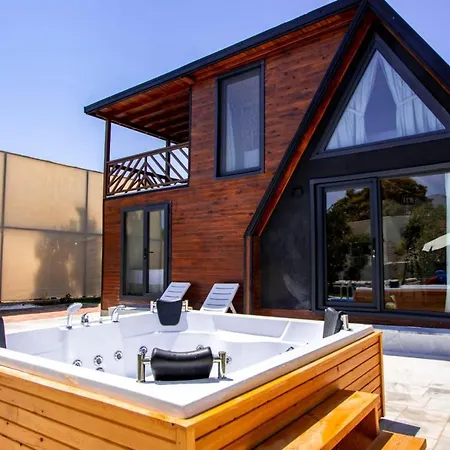 With Pool Jacuzzi And Backyard In Inlice *