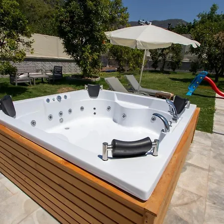 With Pool Jacuzzi And Backyard In Inlice *